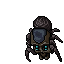 Gloom Widow