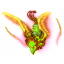 Jade Phoenix