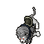 White Lion