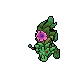 Peony