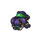 Noctungra